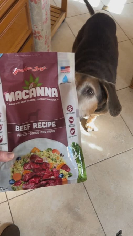 Instagram post by @lizziemakesmagic for Grandma Lucy's. Caption reads: [...] Macanna freeze dried dog food from....
