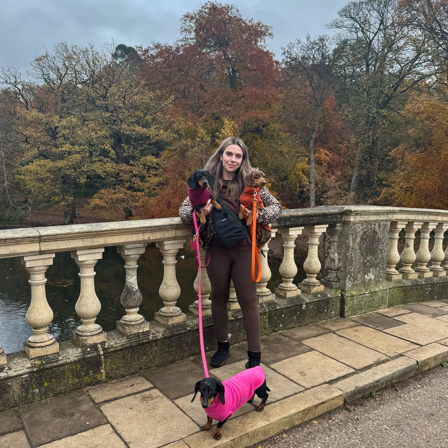 Instagram post by @thesausageandlabadventures for Hugo and Ted. Caption reads: [...] through this dreadful weather with....