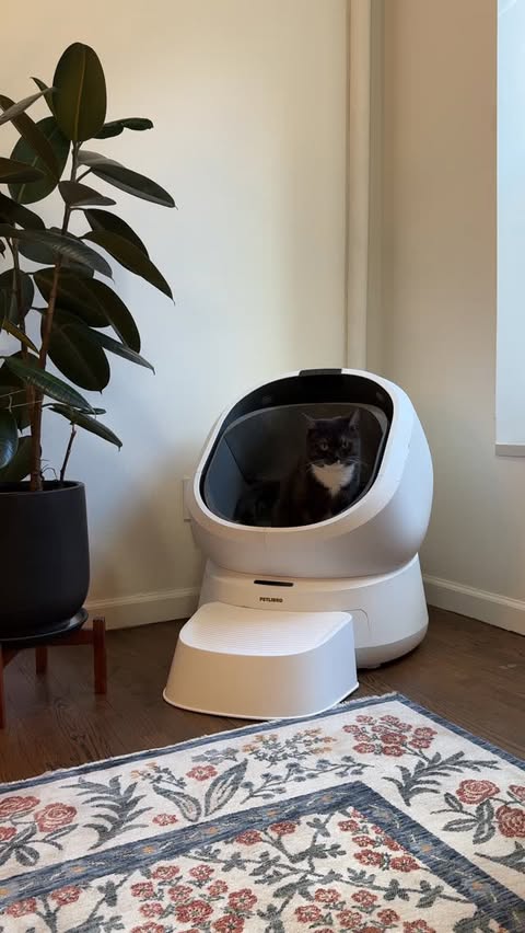 Instagram post by @loxandlottie for Petlibro. Caption reads: [...] in bio and use code Lox15 for 15% off!....