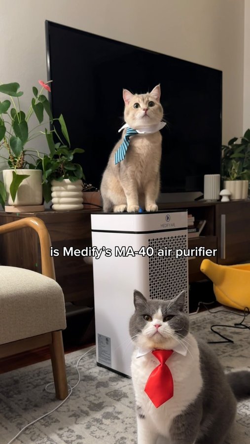 Instagram post by @louieandtodd for Medify Air. Caption reads: The MA-40 purifier from @medifyair has saved....