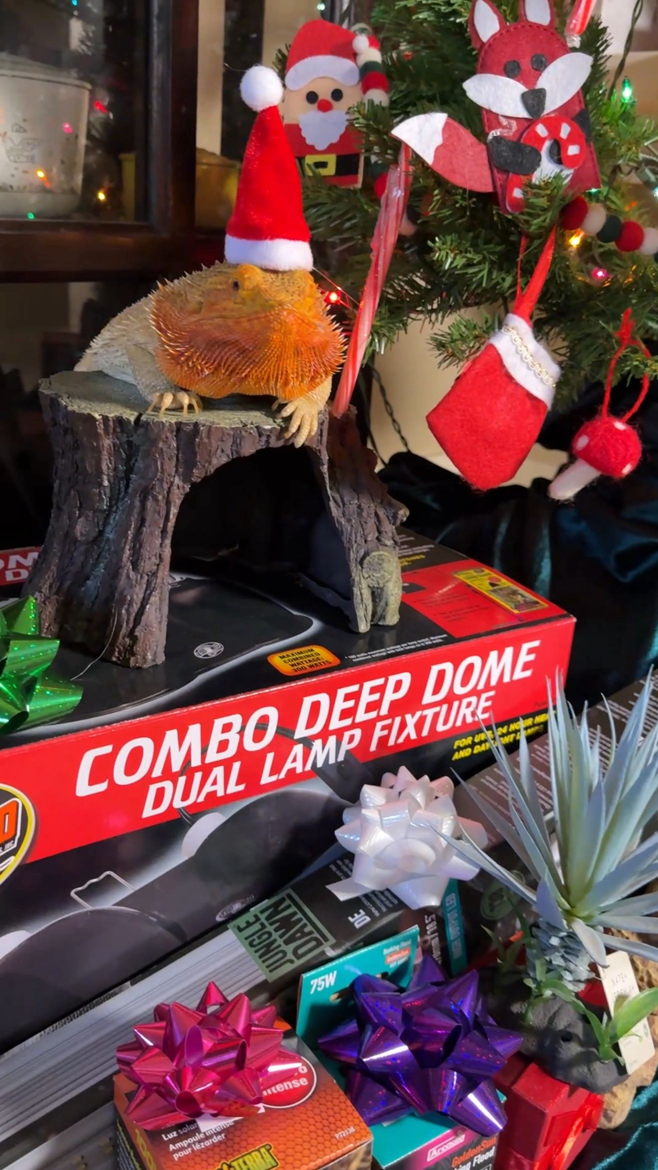 Instagram post by @whosagoodlizard for Afterpay. Caption reads: Betty couldn’t wait until Christmas 🎁 The best....