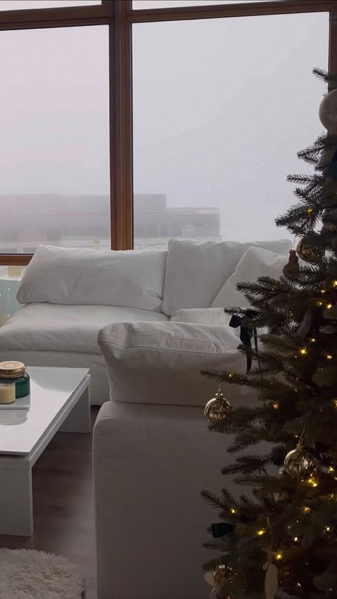 Instagram post by @gingerosesmith for Sundays. Caption reads: My 2 year review of our @sundaysfurniture sofa ☁️....