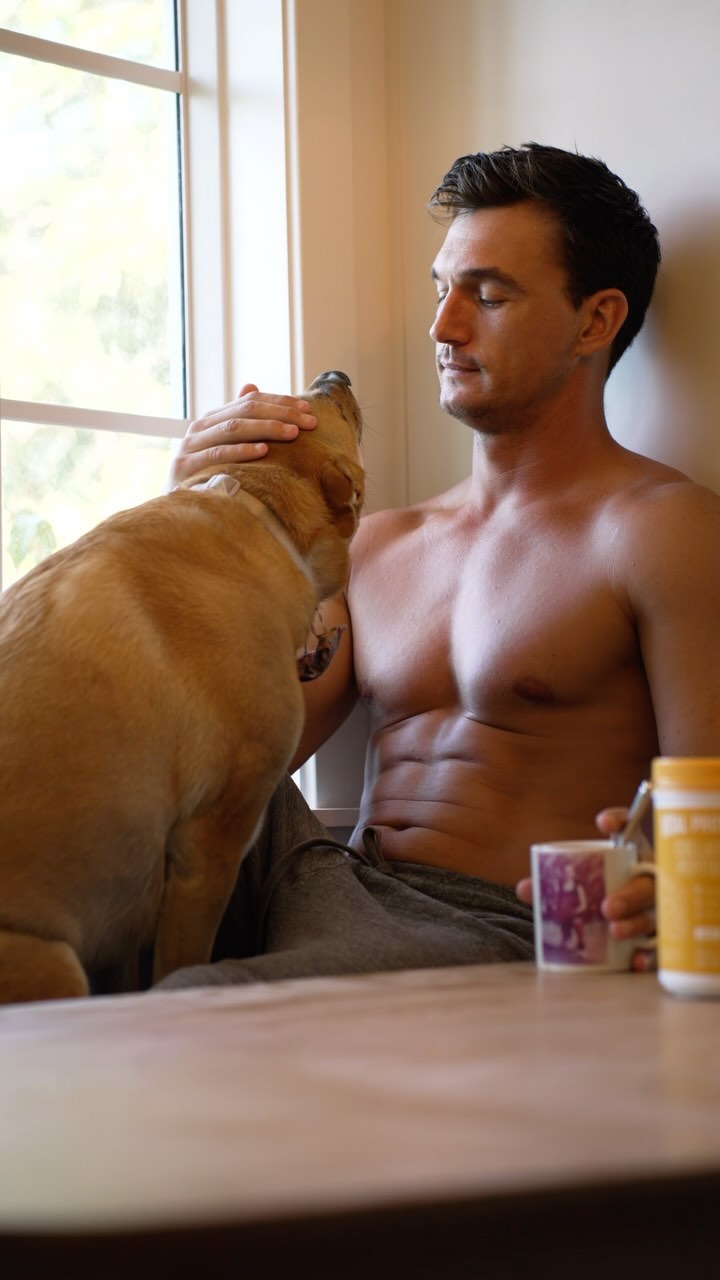 Instagram post by @tylerjcameron for Vital Proteins. Caption reads: Mornings with @vitalproteins and Harley are my....