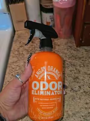 TikTok post by @courtneyyyalexis33 for Angry Orange. Caption reads: [...] those really tough stains as well! @Angry....