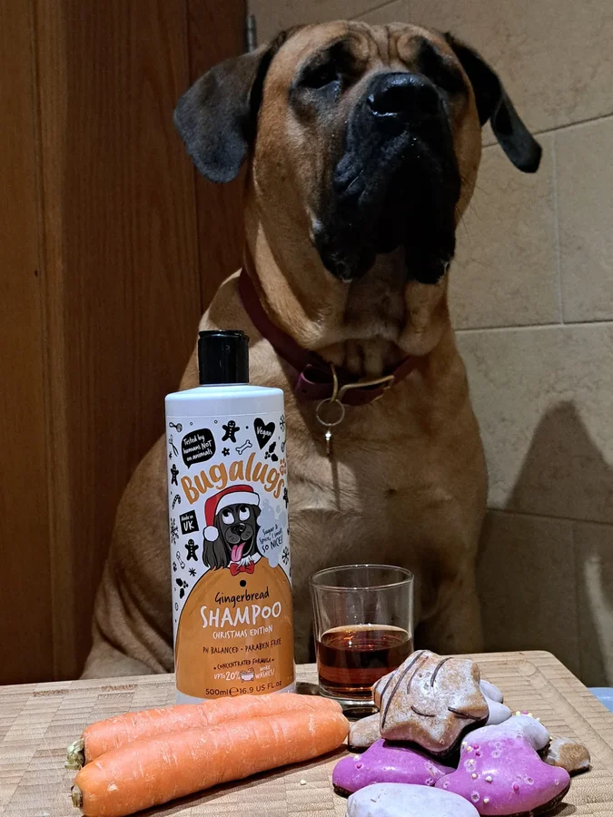 Instagram post by @bryni.and.bear for Bugalugs Pet Care. Caption reads: [...] THE CHRISTMAS FAVES ARE BACK 🎄
The....