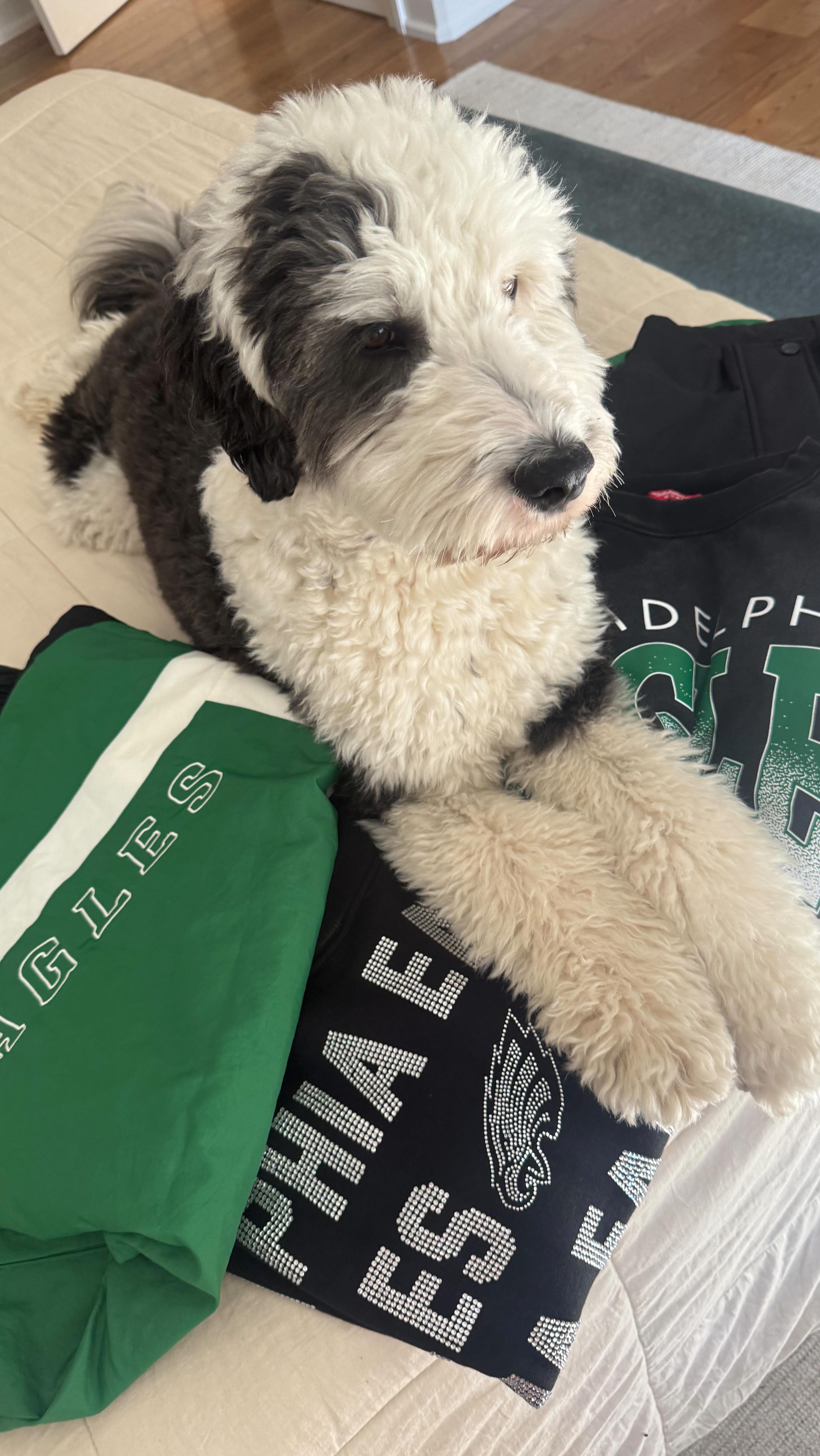 Instagram post by @kelseyholmer for Fanatics. Caption reads: The cutest game day wear! Which one is your....