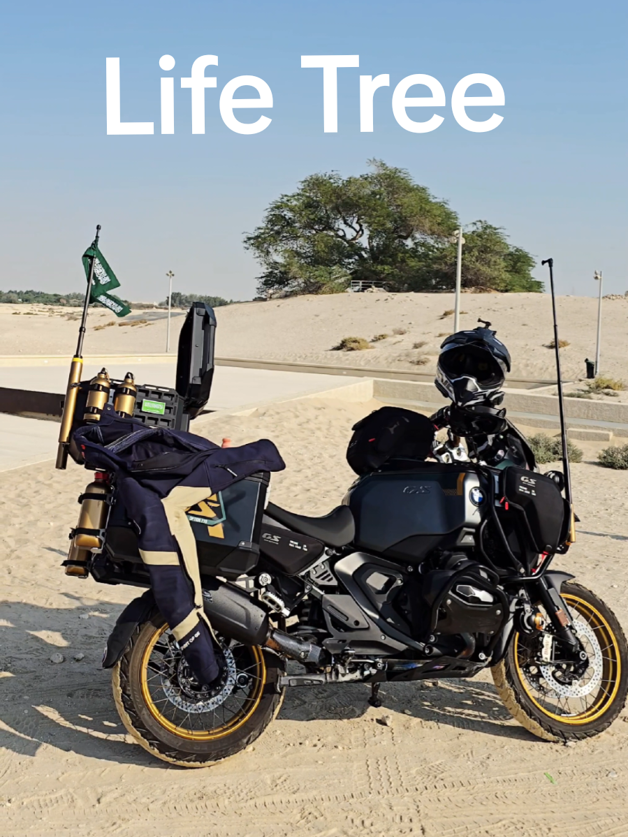 TikTok post by @rider_adv for BMW. Caption reads: #LIVEIncentiveProgram #LIVEFEST2025 #MakeLIVECount....