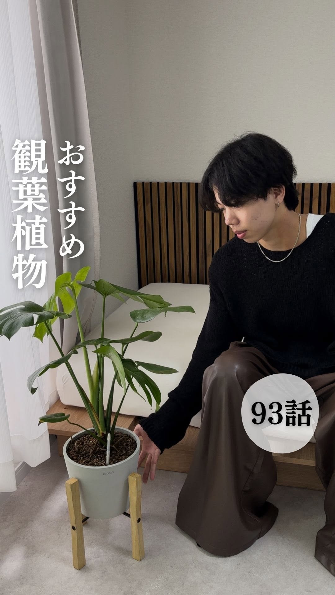 Instagram post by @kurashi_yamaton for AND PLANTS. Caption reads: ↓クーポン載せてるよ✨

今回は、観葉植物🪴が届きました！
モンステラは深い切り込みのある
大きな....