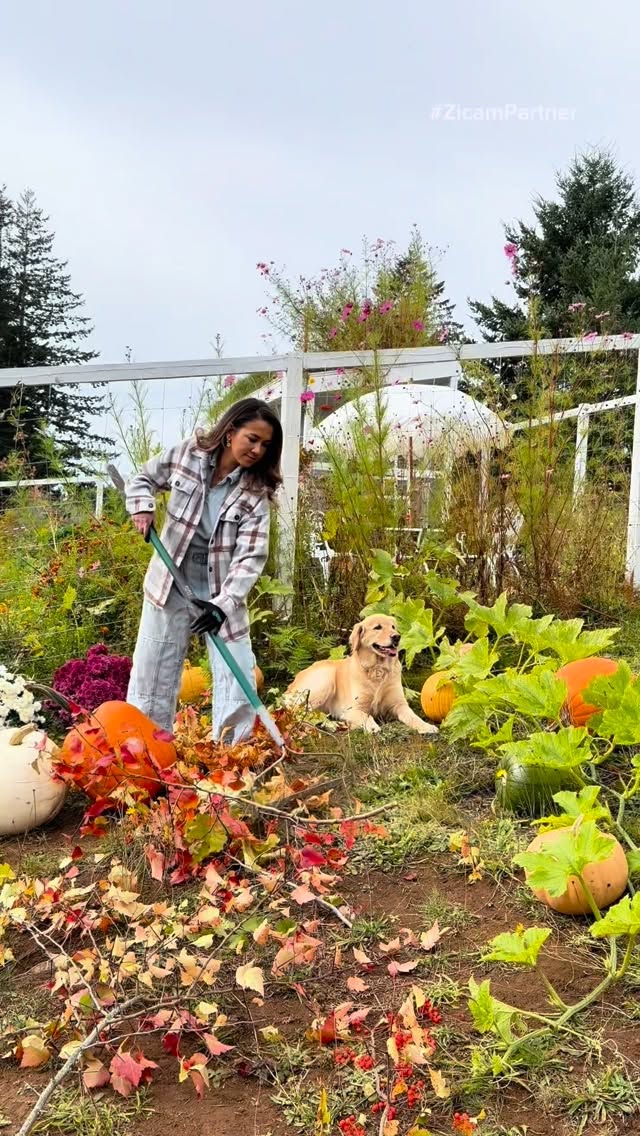 Instagram post by @annnsvan for Zicam. Caption reads: #ad Cozy fall garden clean-up days are my favorite....