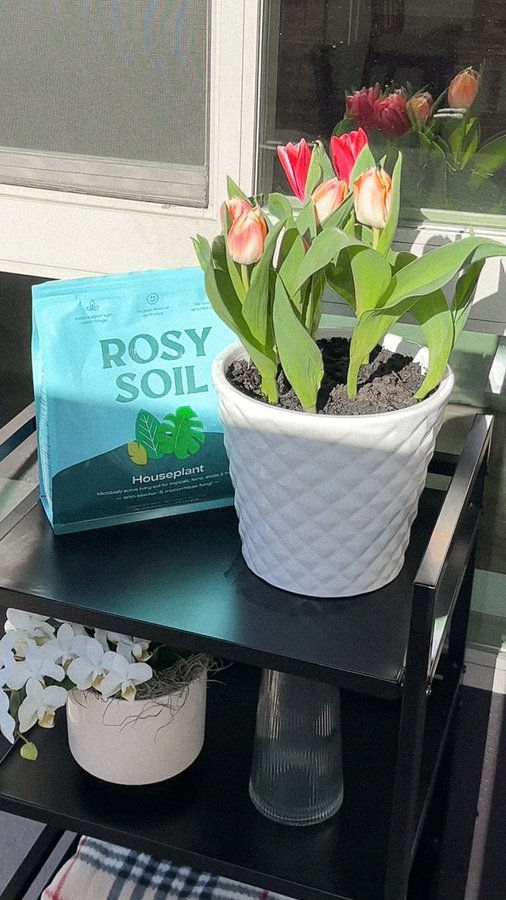 Instagram post by @heymichelleee for Rosy Soil. Caption reads: Day 4 of turning out apartment into a home - might....