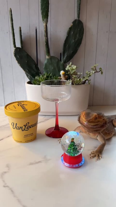 Instagram post by @whosagoodlizard for Van Leeuwen Ice Cream. Caption reads: Holidays mean extra ginger ale in the house, and....