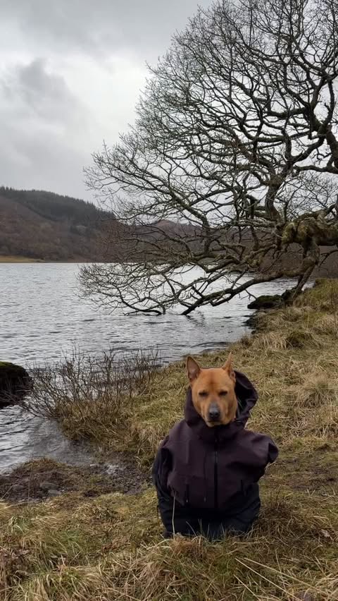 Instagram post by @yermatty for VisitScotland. Caption reads: [...] the natural beauty around you.....