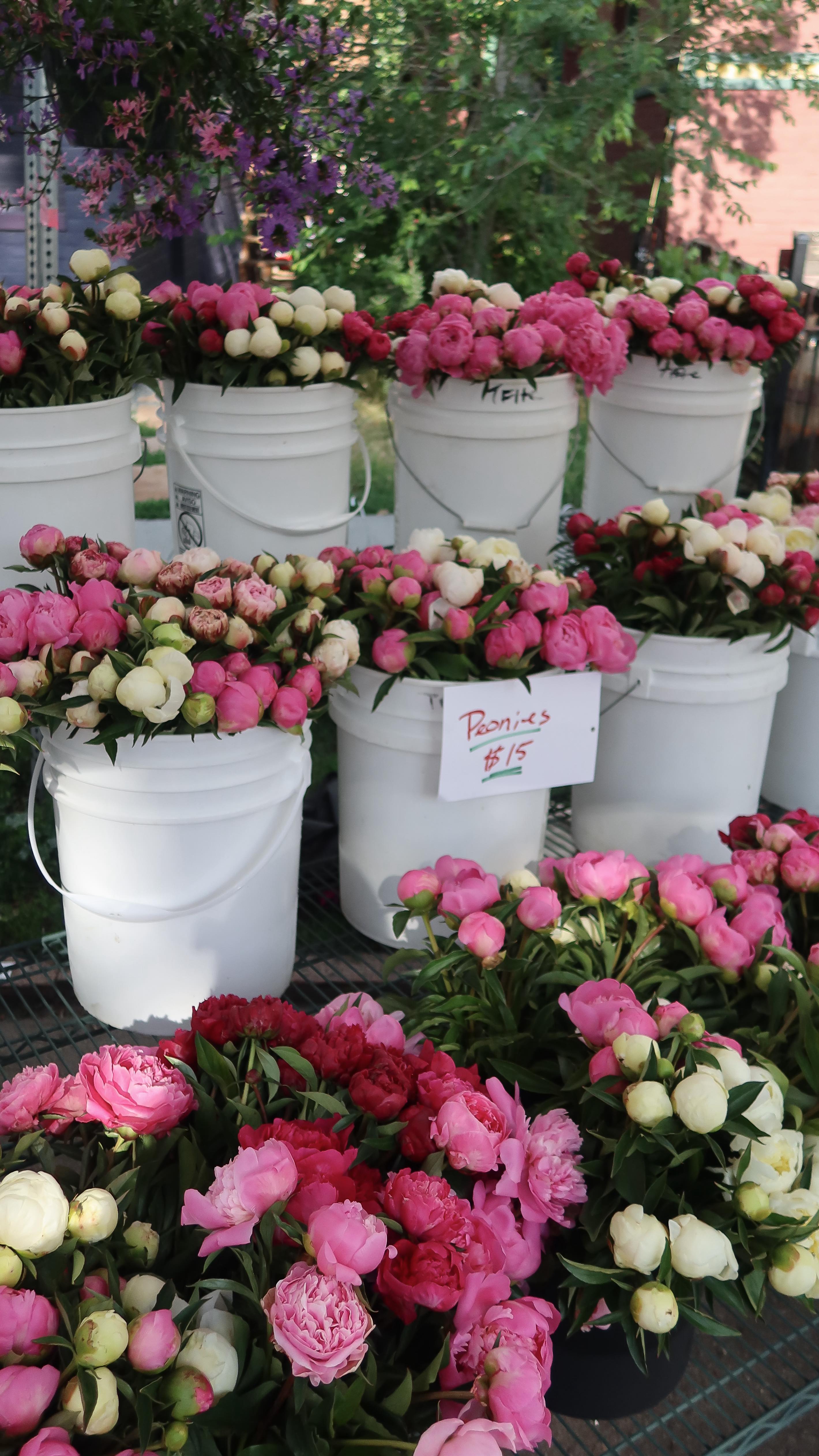 Instagram post by @abbiekaym for Dolce Vita. Caption reads: [...] outfit ideas, Pinterest girl @dolcevita....