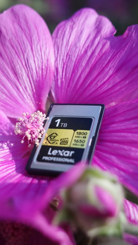 Instagram post by @wildgina for Lexar. Caption reads: [...] 📸 And, I can’t wait to match it with my....