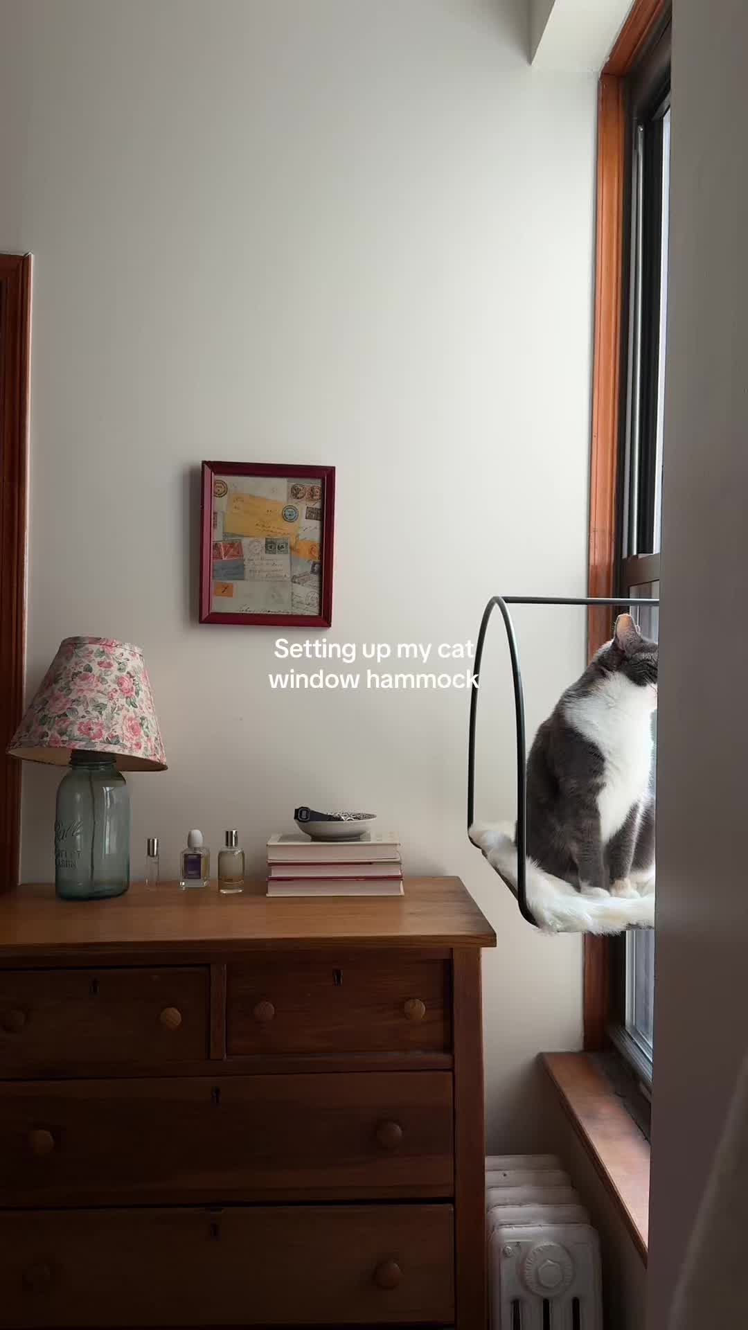 TikTok post by @sincerelysalena for Tuftandpaw. Caption reads: A little view upgrade for my queen 😻☁️ (on sale....