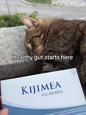 TikTok post by @rosa_gattini for Kijimea. Caption reads: Healthy gut @Kijimea #guthealth #supplement #perte.