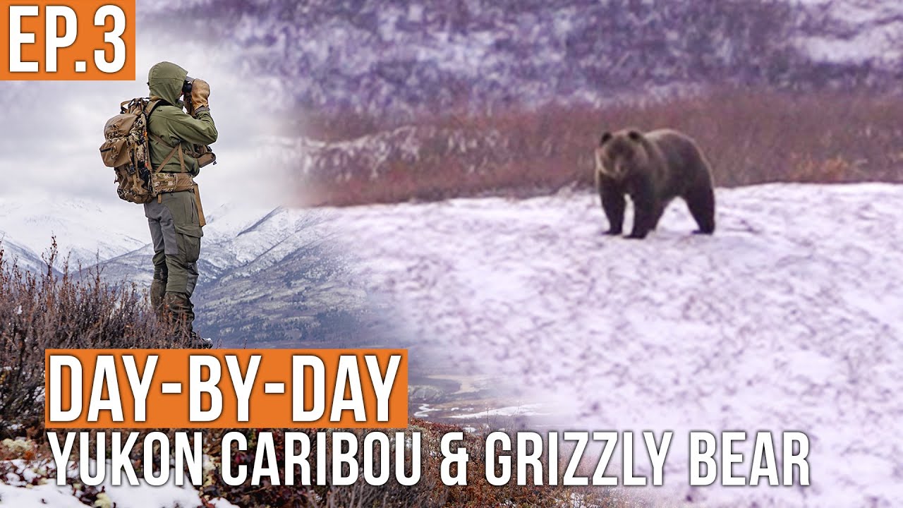 YouTube post by @Fresh_Tracks for Ollin. Caption reads: [...] sure that the gators are in your cart. Ollin....