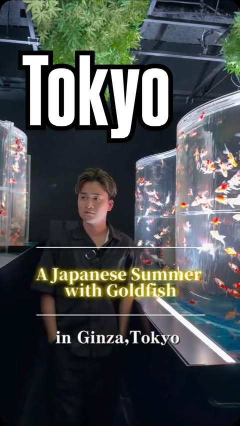Instagram post by @japan_local_adventures for PEPPER Likes. Caption reads: [...] -———————— #artaquarium #ginza #tokyo....