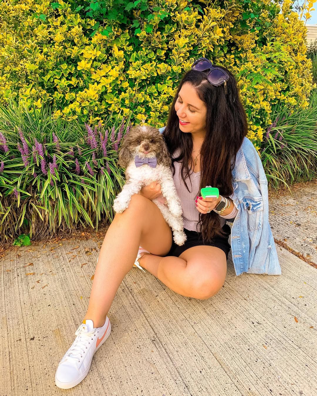 Instagram post by @trendyintartan for FURminator. Caption reads: Welly’s got his bow tie on and is ready for the....