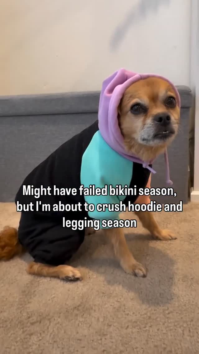 Instagram post by @smooshy_mooshy for Spark Paws. Caption reads: Didn’t pass bikini check… but hoodie check? A+ ✅....