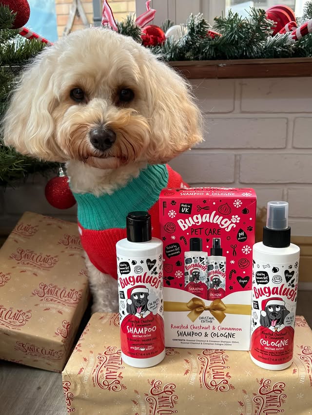 Instagram post by @adventuresofpipthecavapoochon for Bugalugs Pet Care. Caption reads: [...] ❤️
-
Still need some ideas? These....