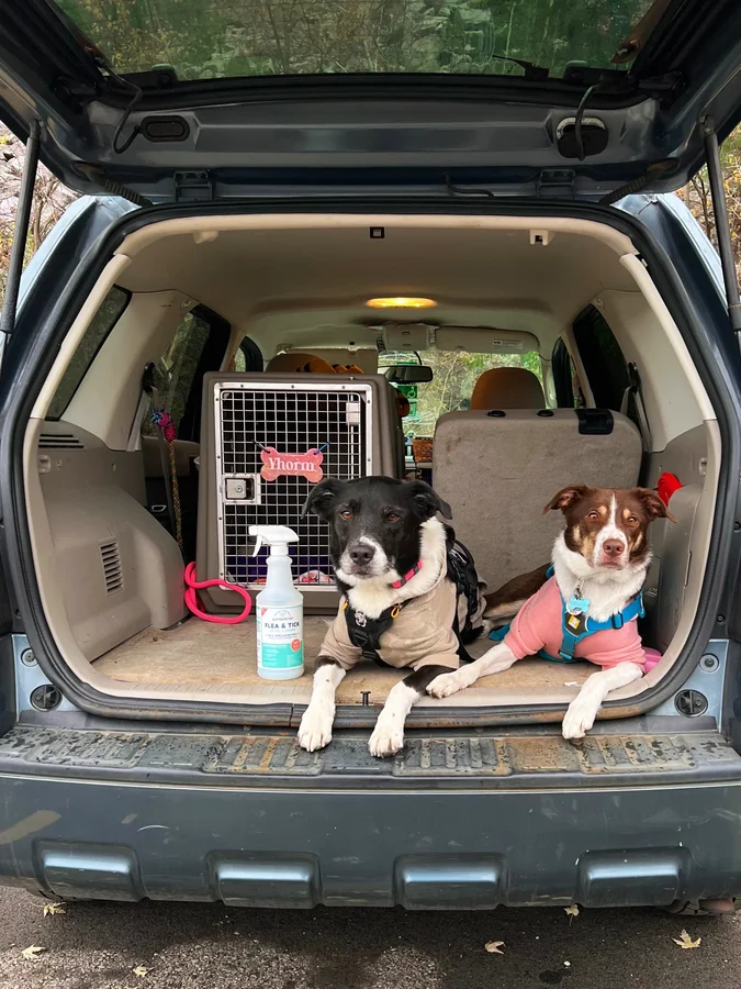 Instagram post by @oldladyandthekidz for Wondercide. Caption reads: [...] fall hike this last weekend thanks to....