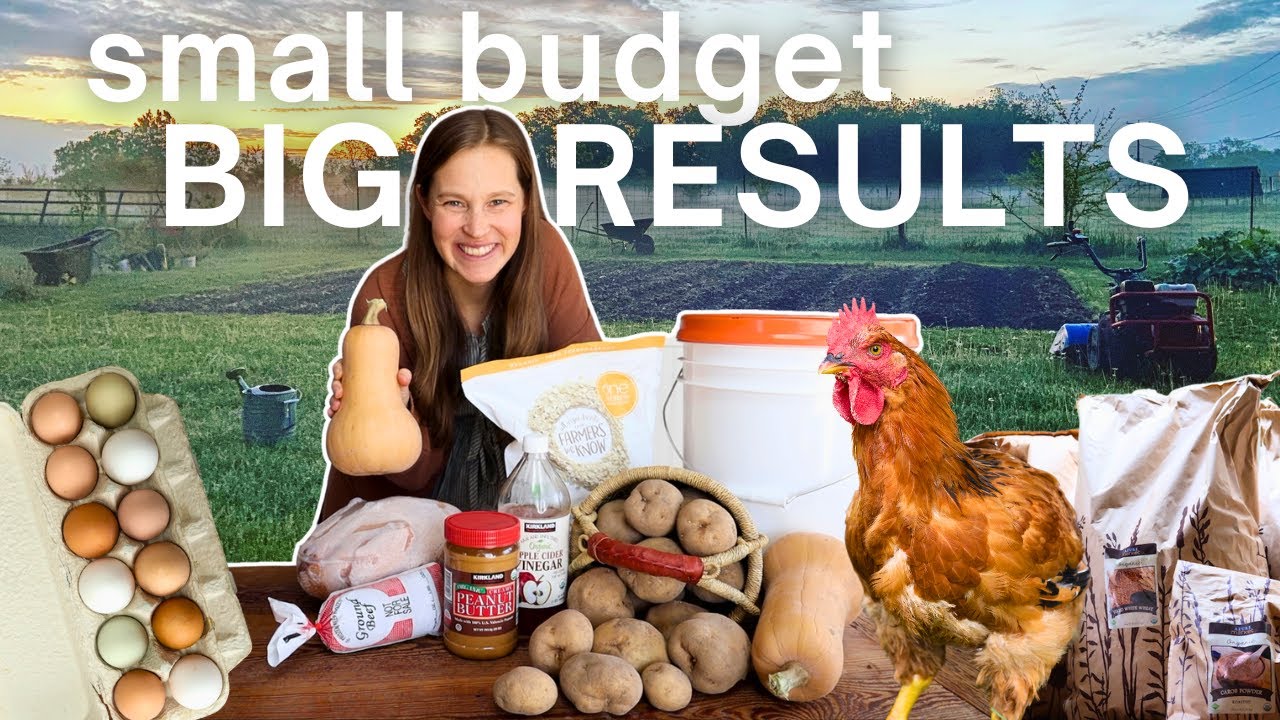 YouTube post by @FromScratchFarmstead for Ancient Nutrition. Caption reads: 5 Strategies to SAVE on Food Costs!.