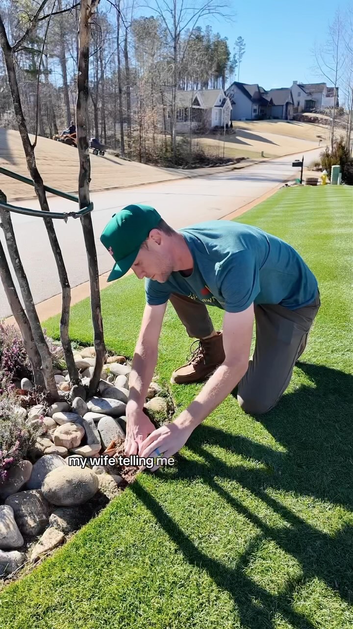 Instagram post by @the.lawn.dad for Harrys. Caption reads: Lawn season stinks. Make it all better (and the....
