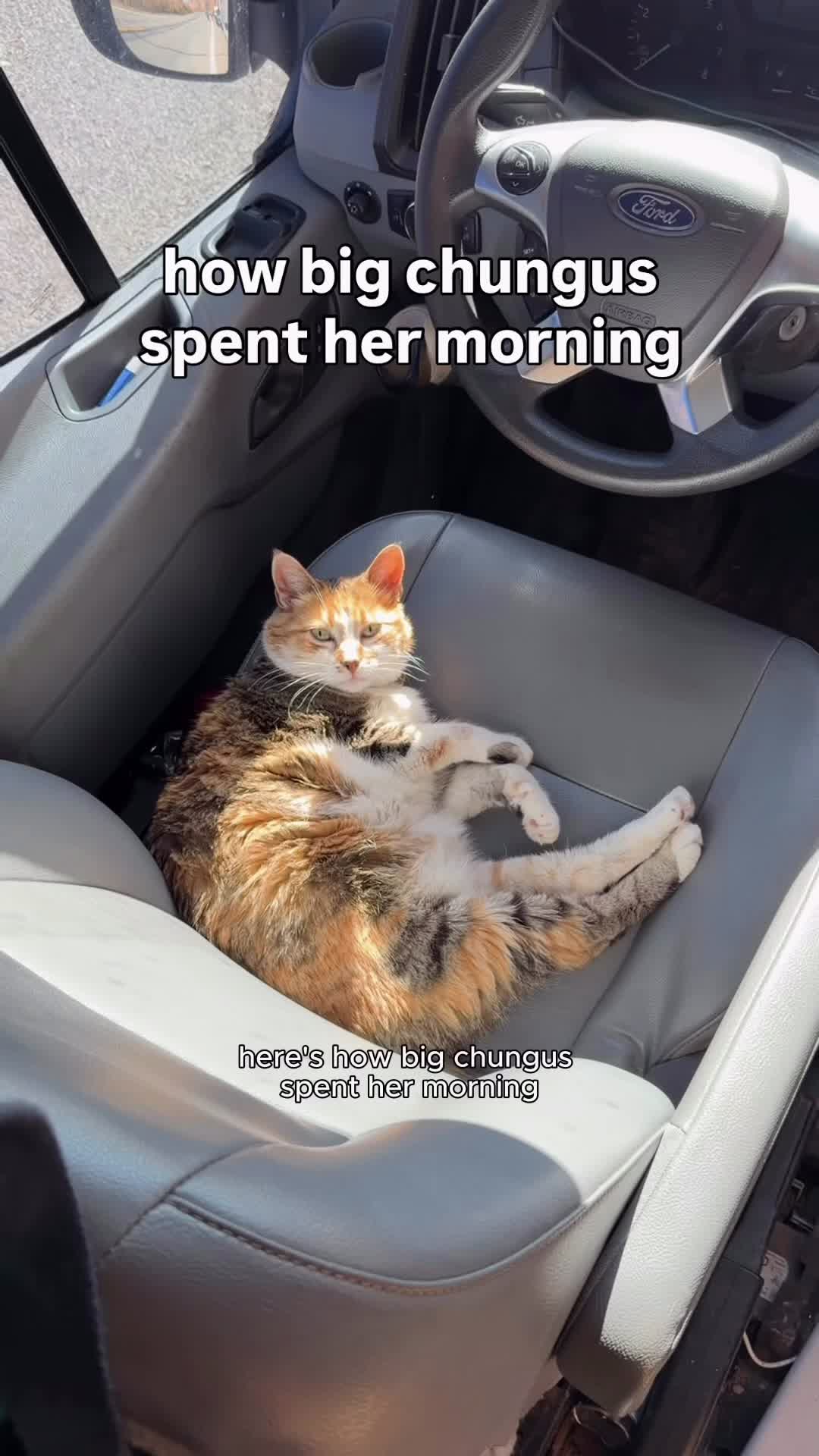 TikTok post by @kayli.kiing for ORIJEN Petfoods. Caption reads: nobody tell her the truth ok??? Thanks to @ORIJEN™....