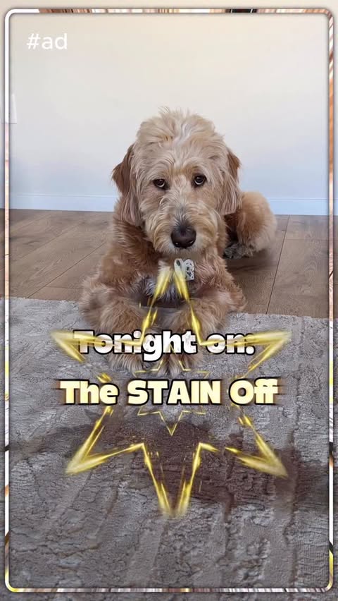 Instagram post by @vitothedogfather for BISSELL. Caption reads: #ad Here’s what happens when you put battery life,....