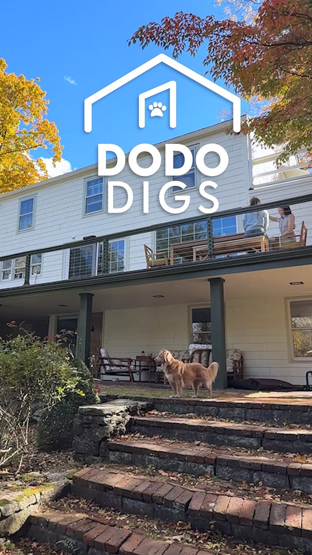 Instagram post by @rebeccakennedynyc for The Dodo. Caption reads: An antique house that turned out to be perfect for....