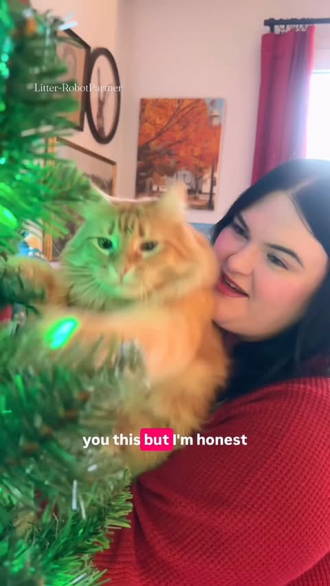 Instagram post by @roseybeeme for Litter-Robot. Caption reads: @thelitterrobot is the best Christmas gift ever....