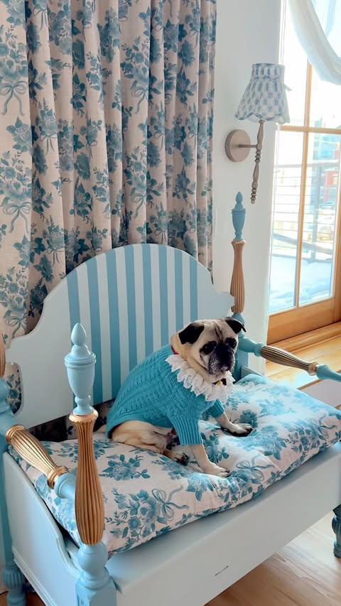 Instagram post by @honeyidressedthepug for Facebook. Caption reads: [...] drama. Delightfully over-the-top. Facebook....