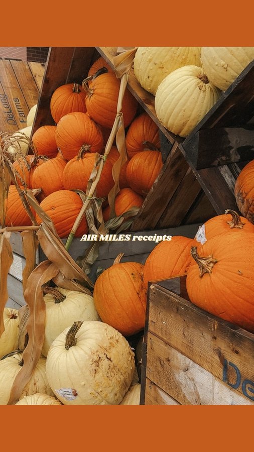 Instagram post by @sheridaningalls for AIR MILES Canada. Caption reads: FALL GIRL ACTIVATED 🍂 🥣  Soup, sweaters,....