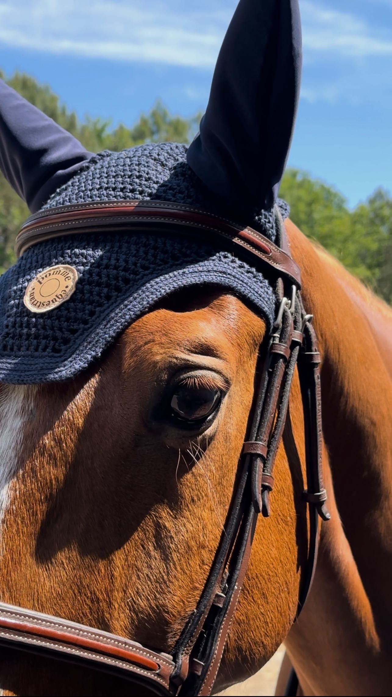 Instagram post by @lolacourbet for Pomme. Caption reads: [...] and me in total look @wearepomme....