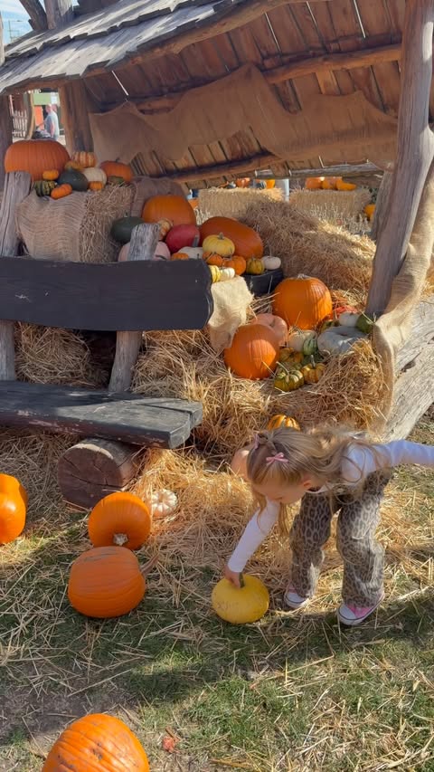 Instagram post by @cnfleetwood for Hobbledown. Caption reads: [...] started 🎃🍂✨ We spent the day at....