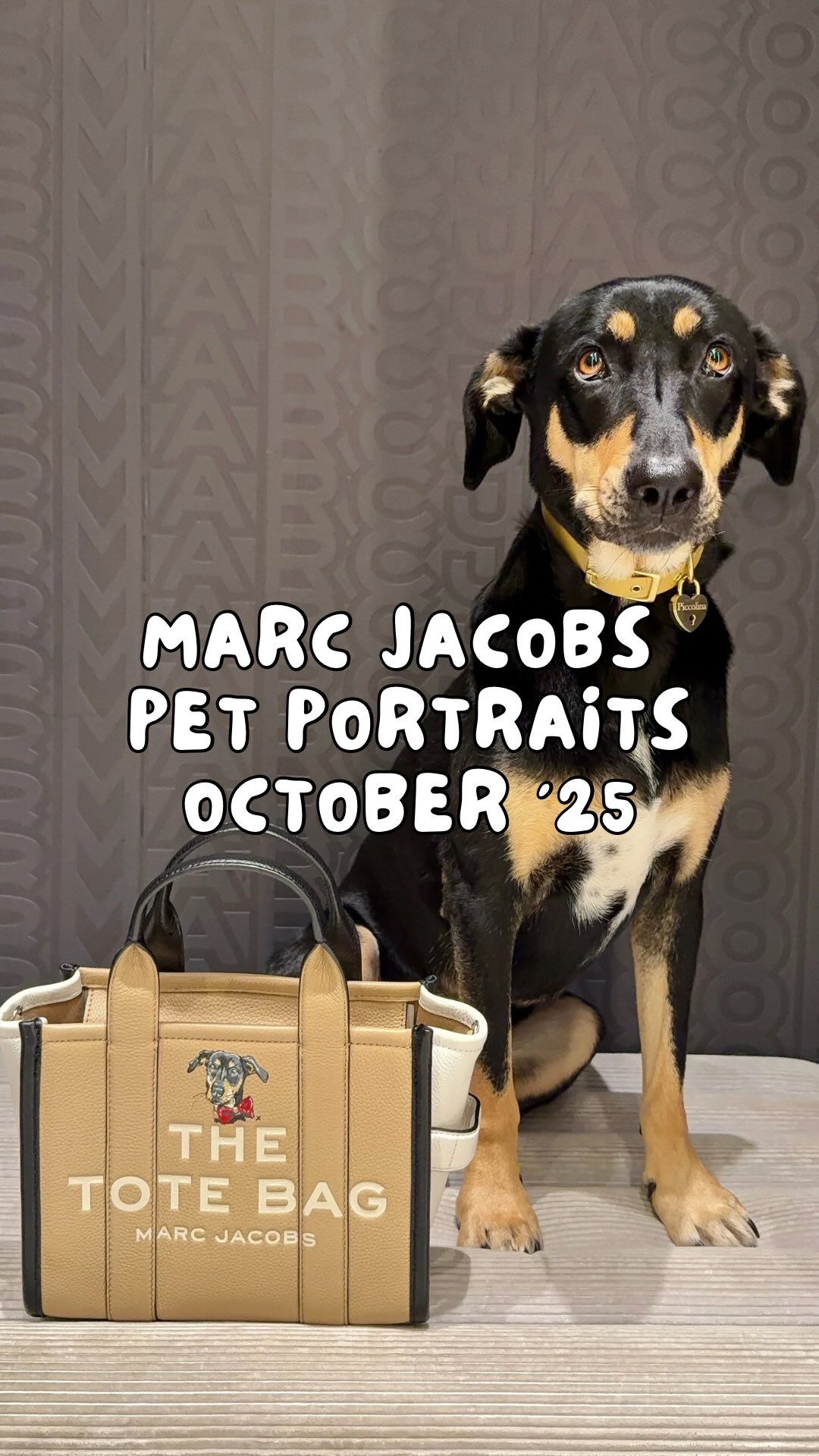 Instagram post by @thedogvine for Marc Jacobs. Caption reads: Dog mums, don’t miss this 🐶✨👇

👜 Marc Jacobs....