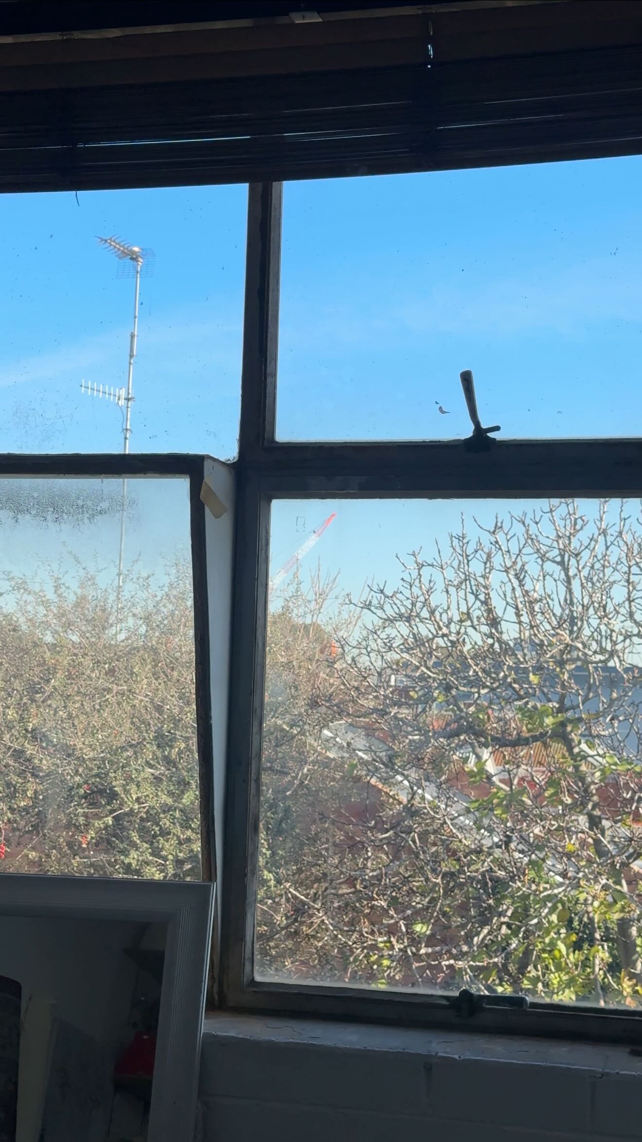 Instagram post by @silkcartwright for Cotton On Body. Caption reads: I work better when I’m comfy > ps excited to be a....