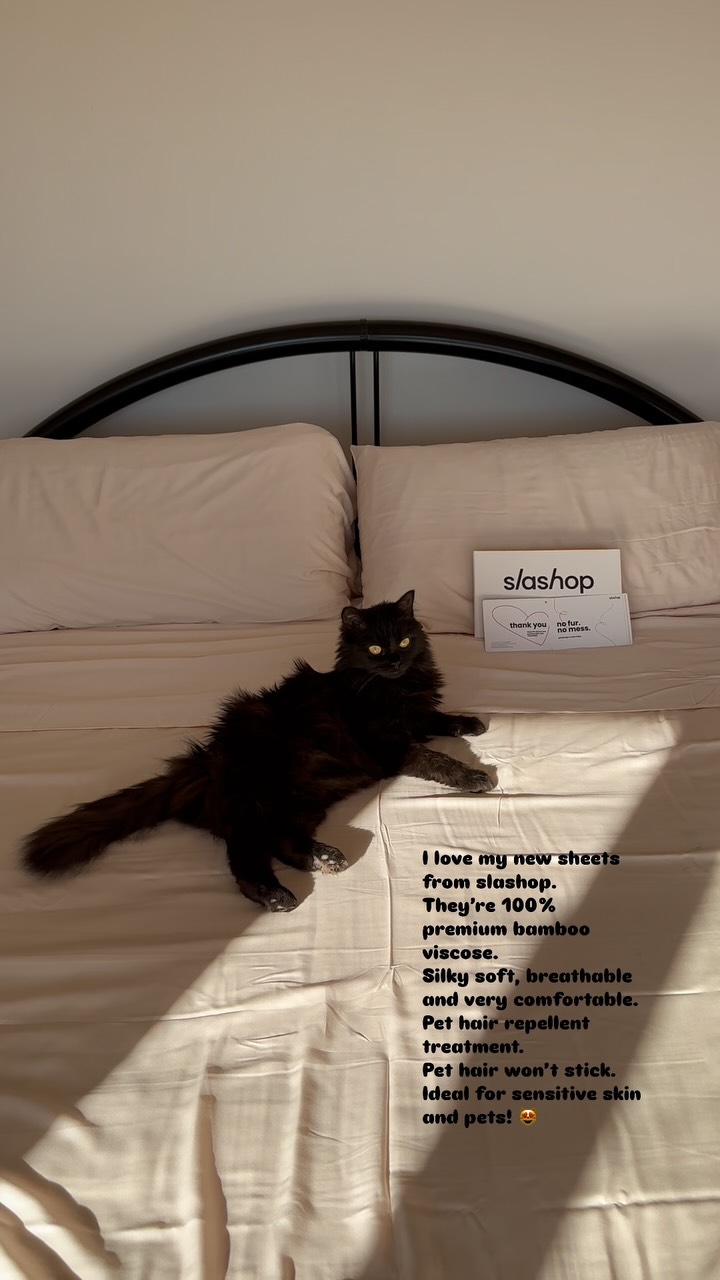 Instagram post by @emily_dickinson_cat for slashop. Caption reads: [...] I and my meowmy love our new sheets....