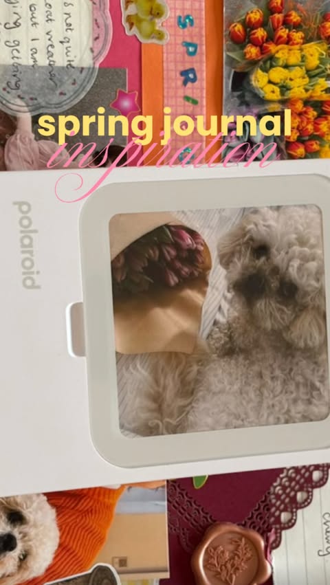 Instagram post by @alrstockwell for Polaroid. Caption reads: [...] with the help of my new @polaroid Hi-Print....