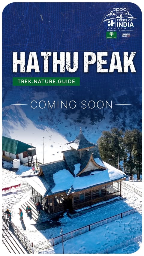 Instagram post by @naikita.bali for OPPO. Caption reads: [...] trek in Himachal Pradesh. Presented by OPPO,....