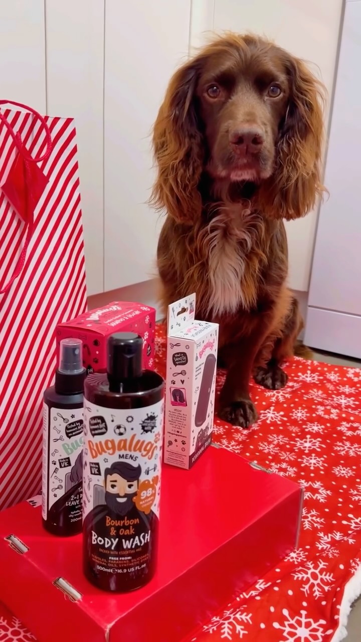 Instagram post by @herbie.werbie for Bugalugs Pet Care. Caption reads: [...] Men’s Day 🕺🏻Look what @bugalugspetcare....