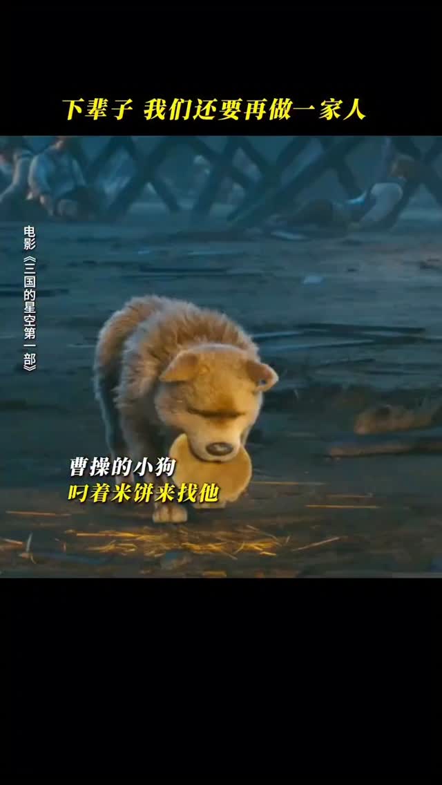 Instagram post by @encorefilmsmal for Warner Bros.. Caption reads: 谢谢你，麦子。你用生命守护了主人的信念。《三国的星空第一部》20.11.25....