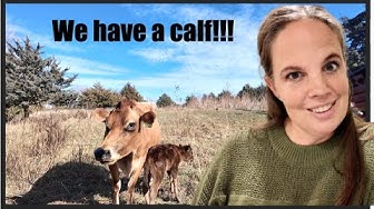 YouTube post by @OurTribeofMany for Ruggable. Caption reads: Crazy timing!  The baby is here!!!! And another....