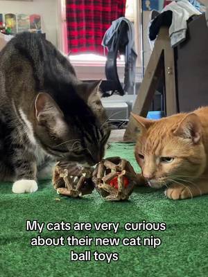 TikTok post by @3catfriendss for Potaroma. Caption reads: [...] and silverine ball toys #cattoys #potaroma....