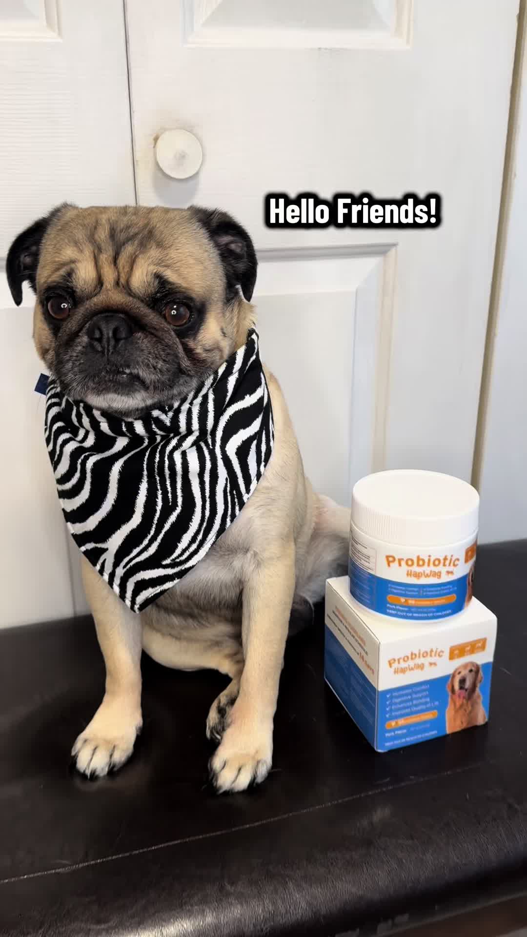 TikTok post by @hey.its.sputnik for HapWag. Caption reads: @HAPWAG.BANG #probiotics #hapwag #dogsoftiktok.