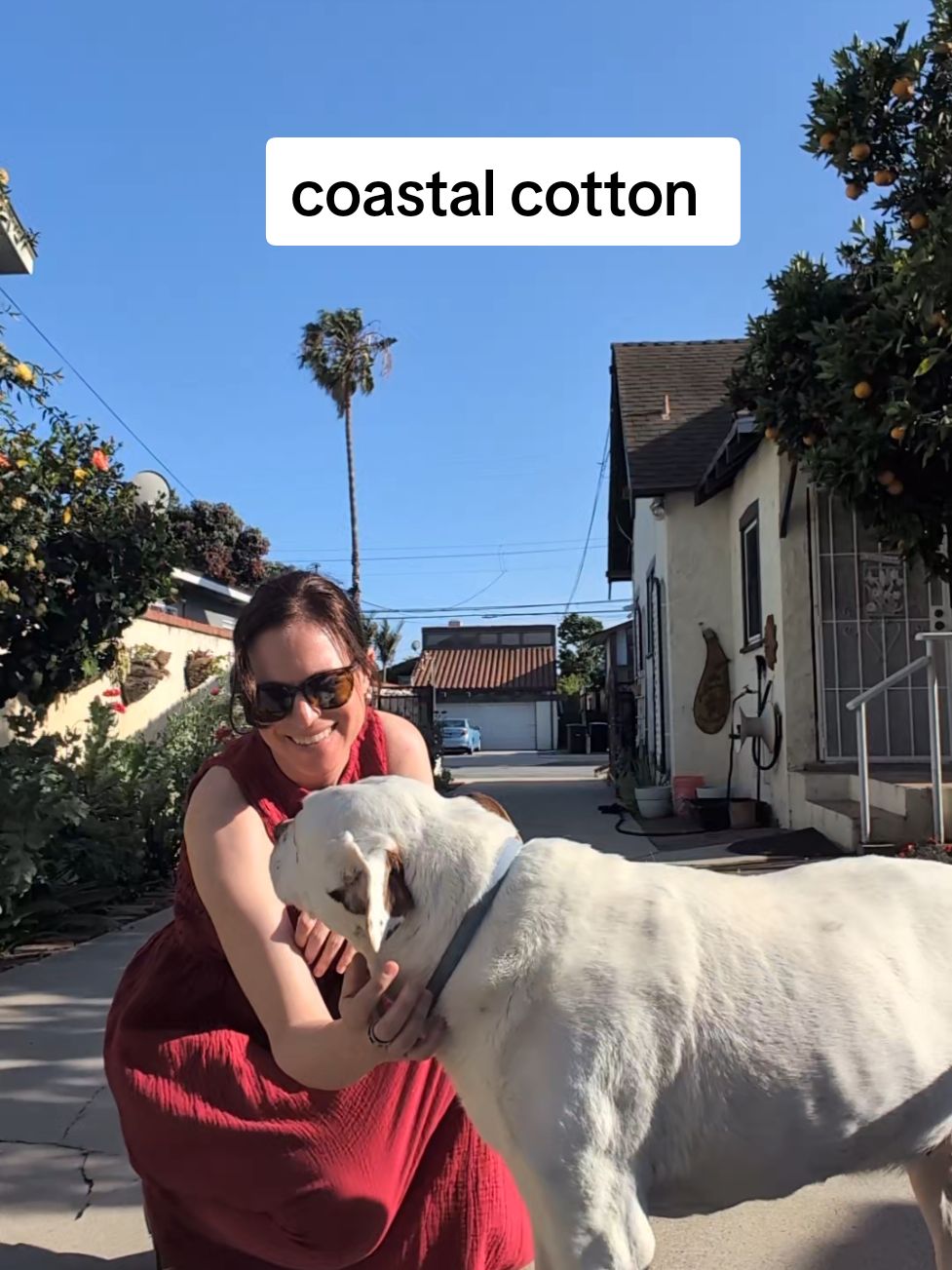 TikTok post by @chasing.ashley for Pact. Caption reads: [...] that makes getting dressed easy. The Pact....
