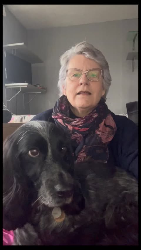 Instagram post by @dollythehearingdog for YuMOVE. Caption reads: [...] long as possible. That’s why I have my....