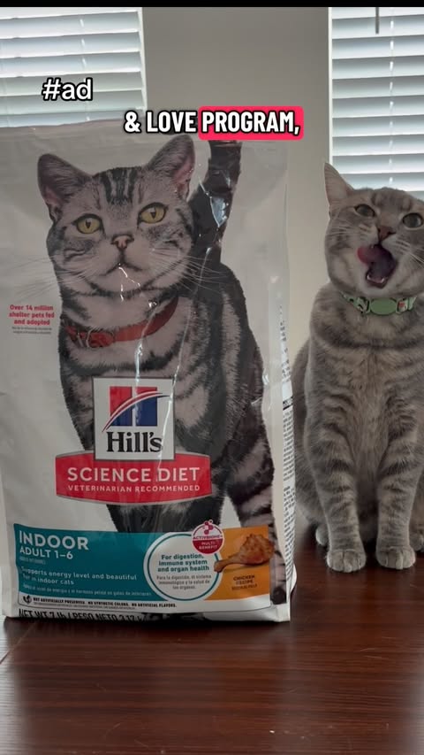 Instagram post by @ellawatchestv_ for Hill's Pet Nutrition. Caption reads: #ad #HillsPartner Every pet deserves a healthy....