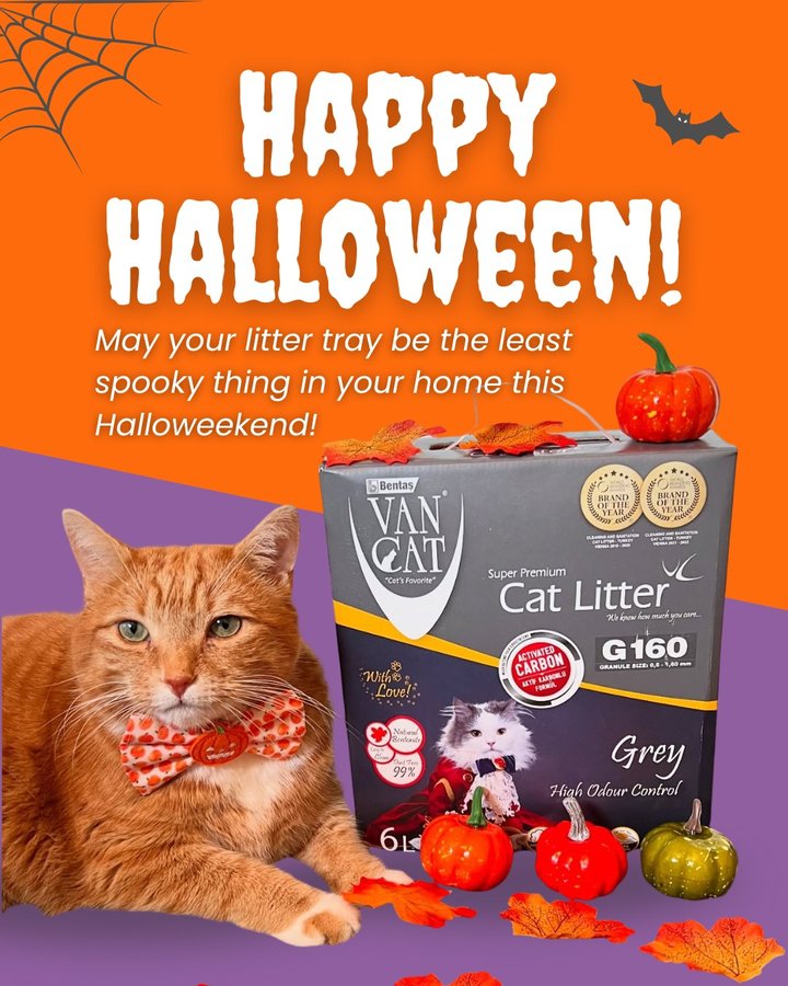 Instagram post by @2_ginger_kitties for VanCatUK. Caption reads: Happy Meow-loween, cat parents! 🎃👻 

May your....